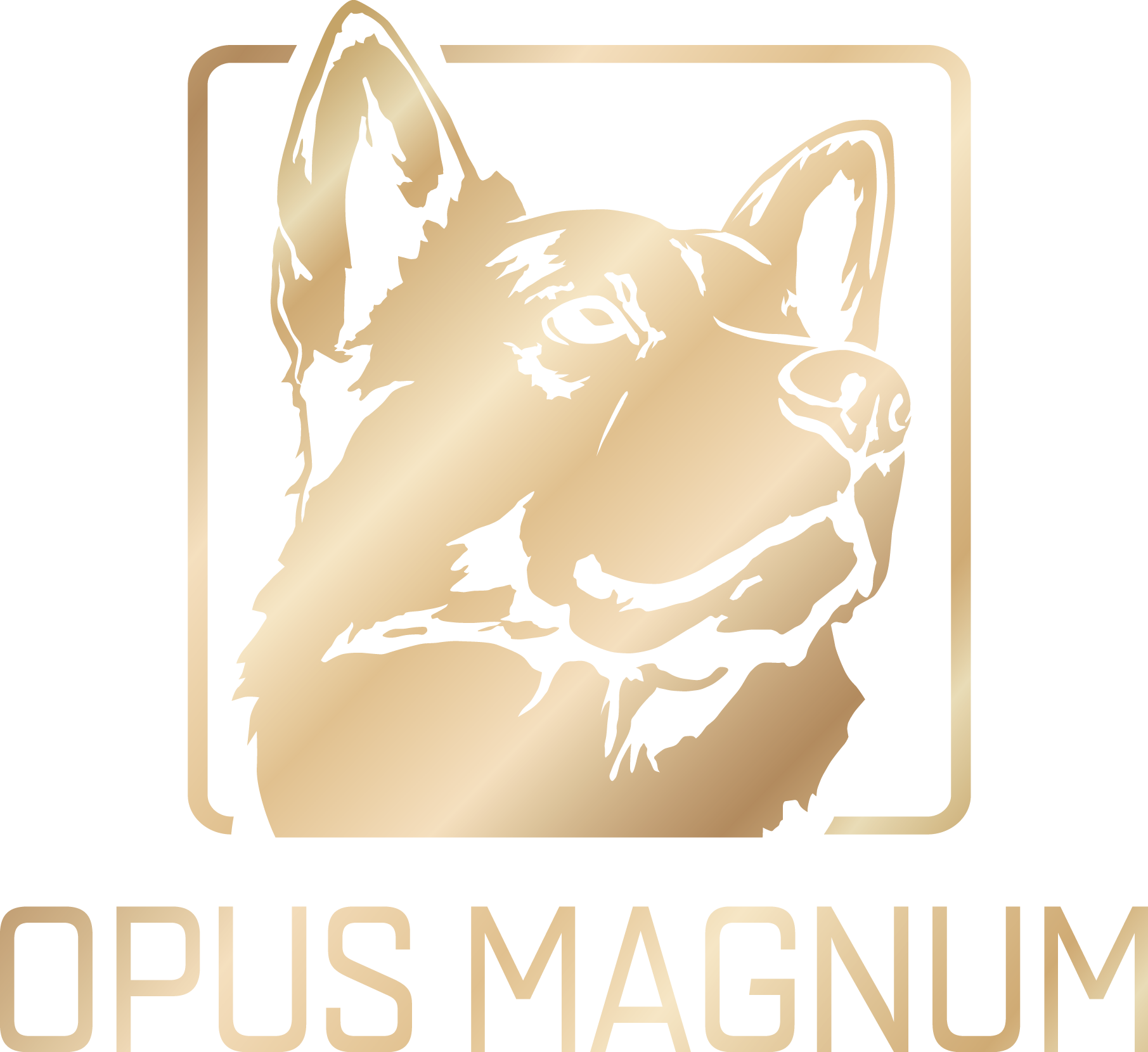 Opus Magnum Dog Training